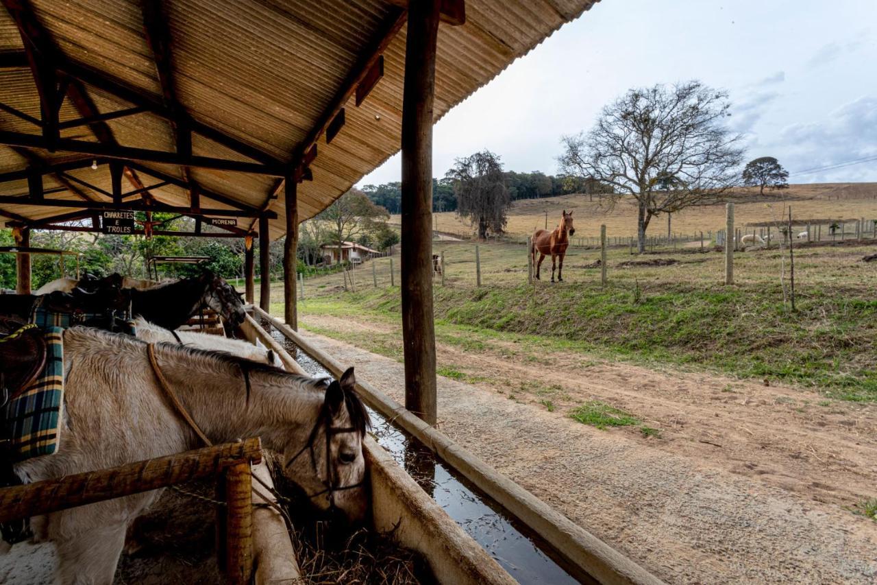 Hotel Fazenda Colina Dos Sonhos Socorro  Εξωτερικό φωτογραφία